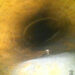 videoispezione fognature (3)